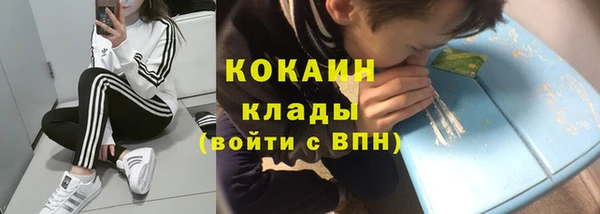 первитин Богданович