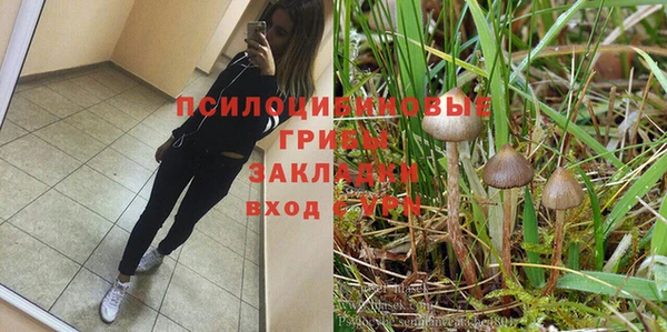 ALPHA PVP Богородск