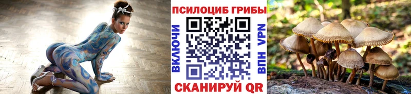 Галлюциногенные грибы прущие грибы  Купить где  Новый Оскол 